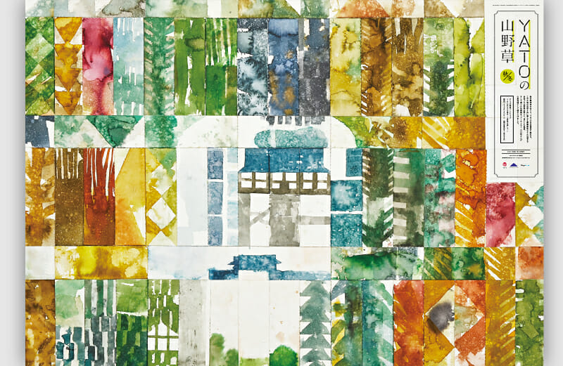 画像：YATOの山野草 秋/冬